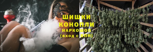 винт Ельня
