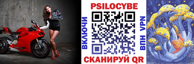 Галлюциногенные грибы Psilocybe Заречный